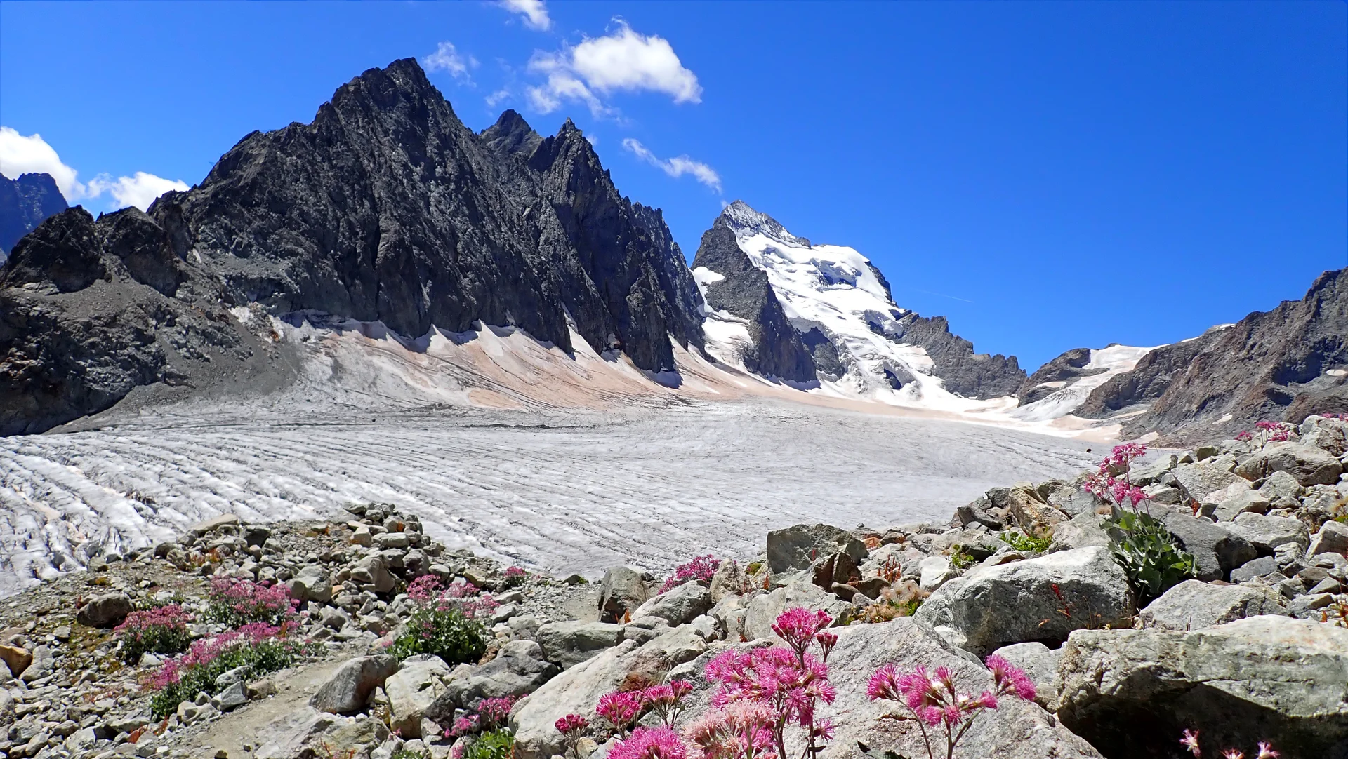 Glacier Blanc, im Hintergrund der Barre des Écrins (4.102m) | © DAV Koblenz | Hulley