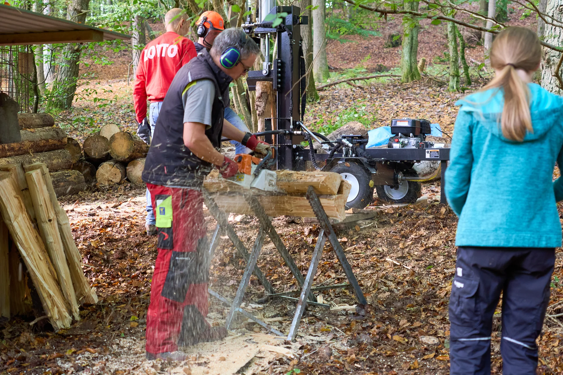 © János Palik | www.basaltblick.de