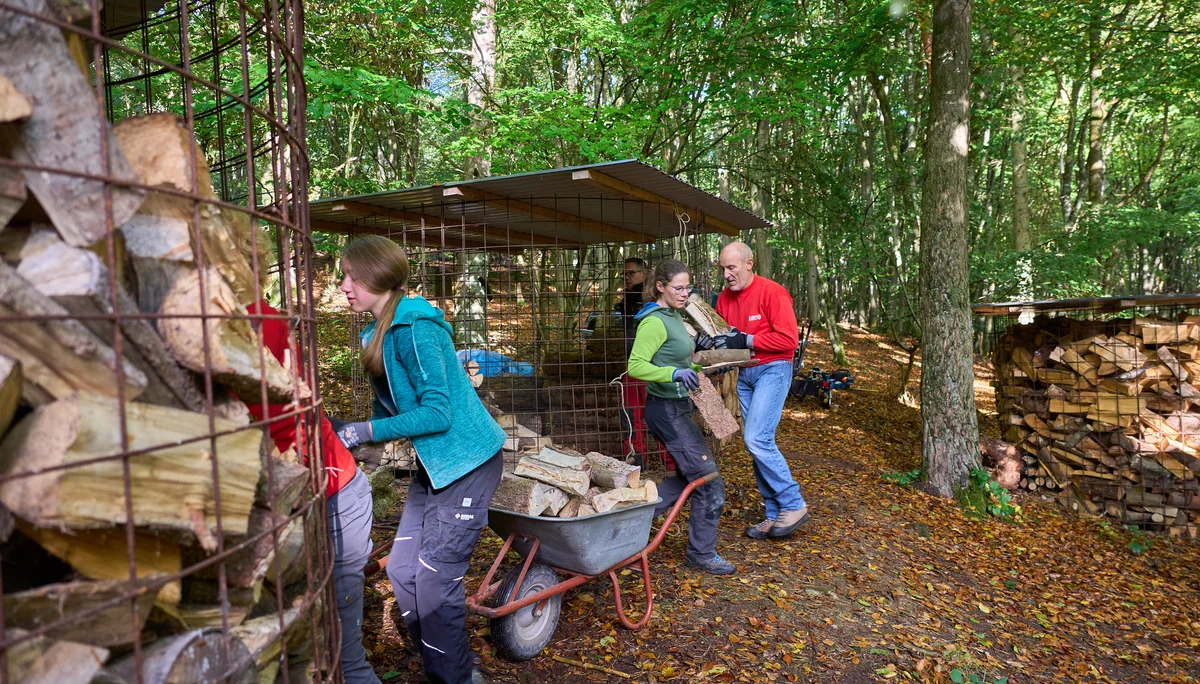 © János Palik | www.basaltblick.de