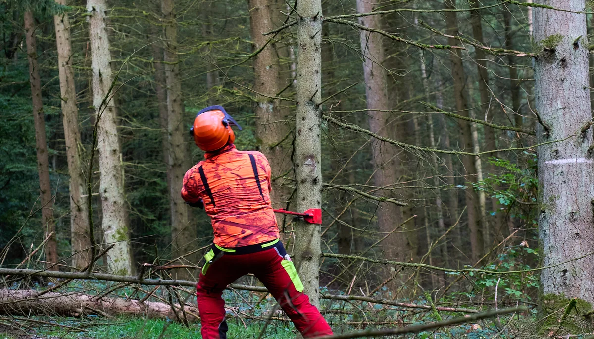 © János Palik | www.basaltblick.de