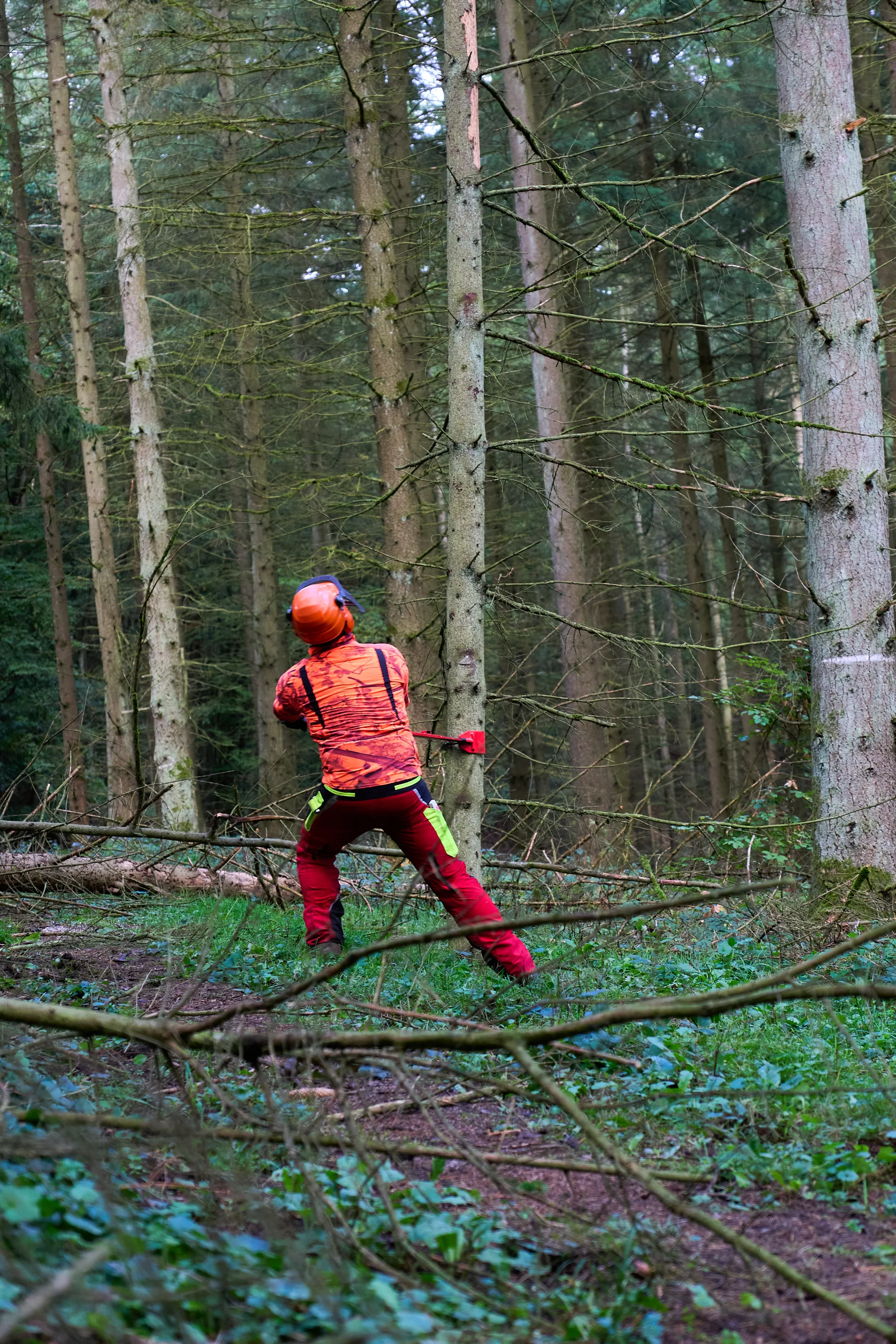 © János Palik | www.basaltblick.de