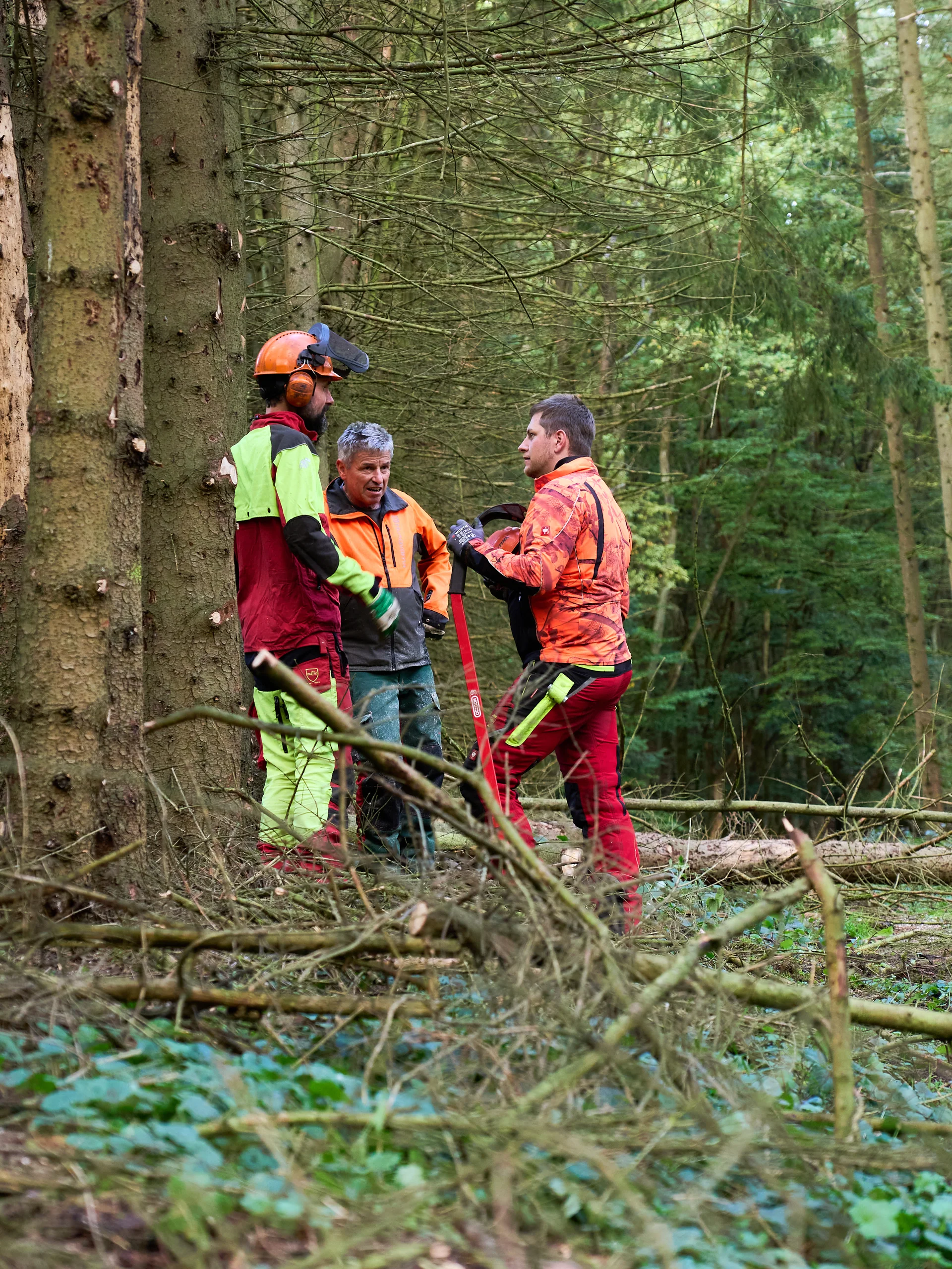 © János Palik | www.basaltblick.de