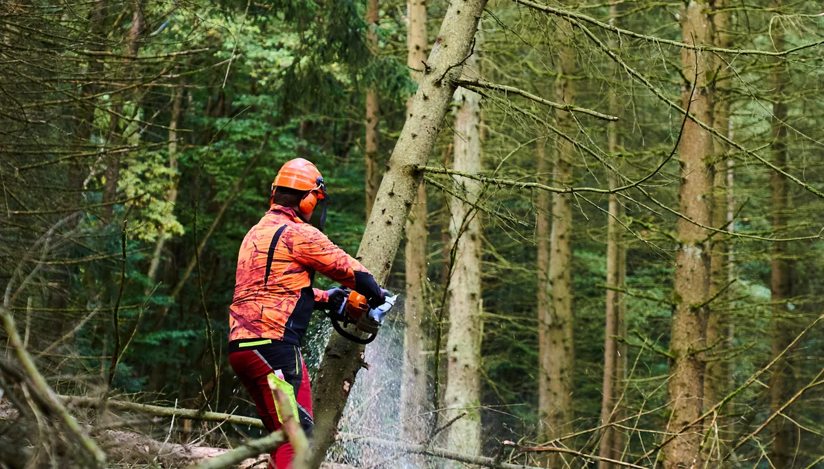 © János Palik | www.basaltblick.de