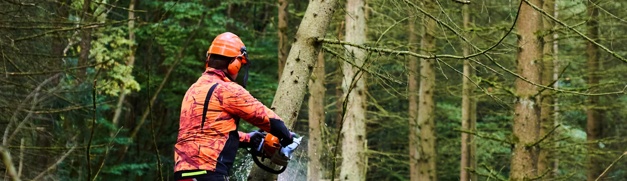 © János Palik | www.basaltblick.de