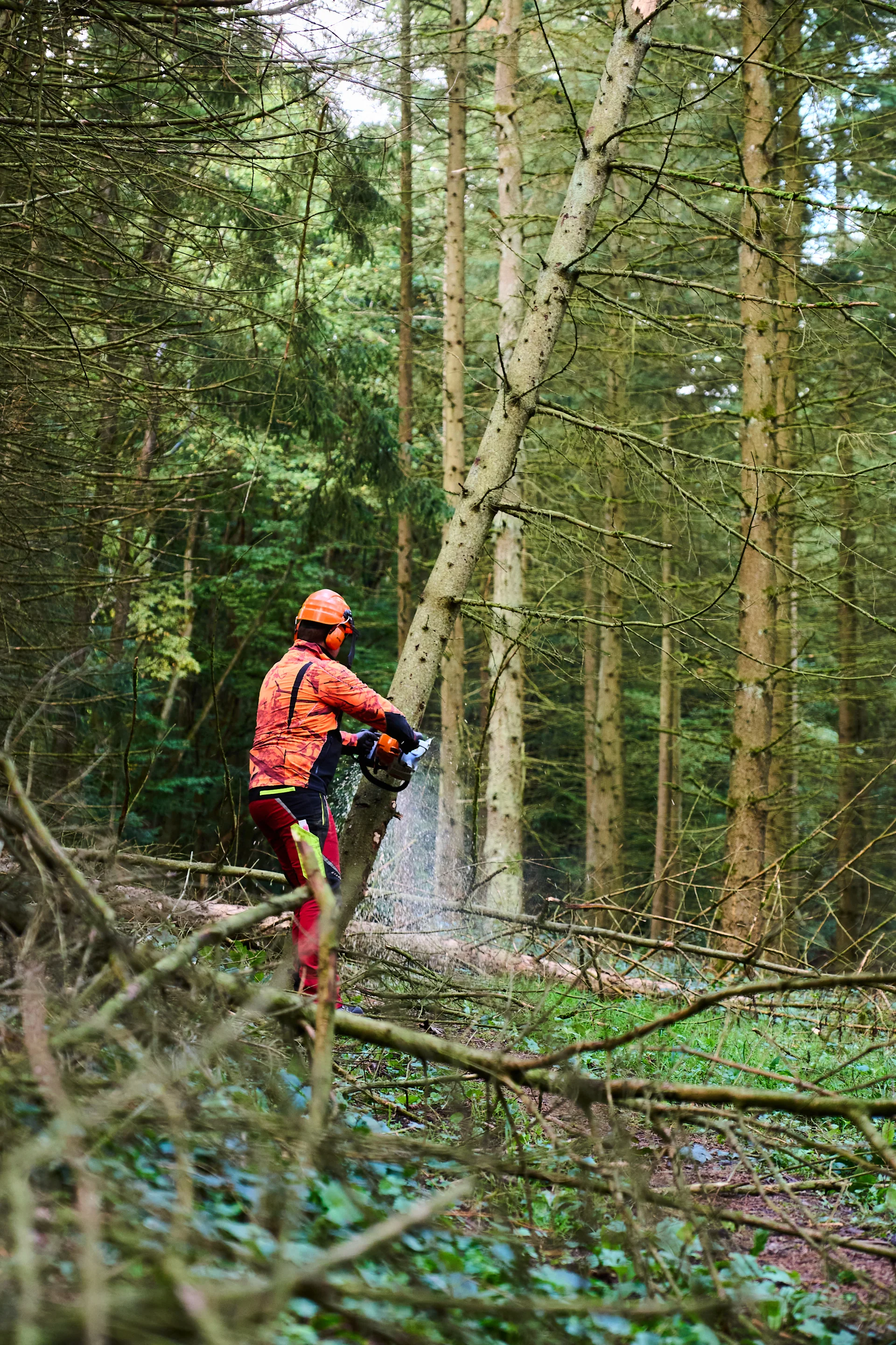 © János Palik | www.basaltblick.de