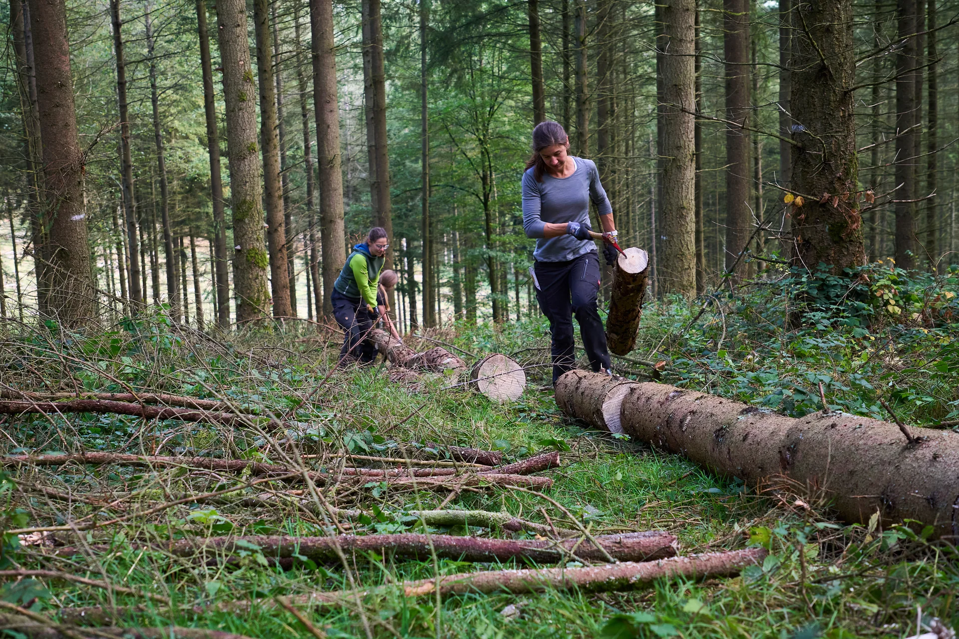 © János Palik | www.basaltblick.de