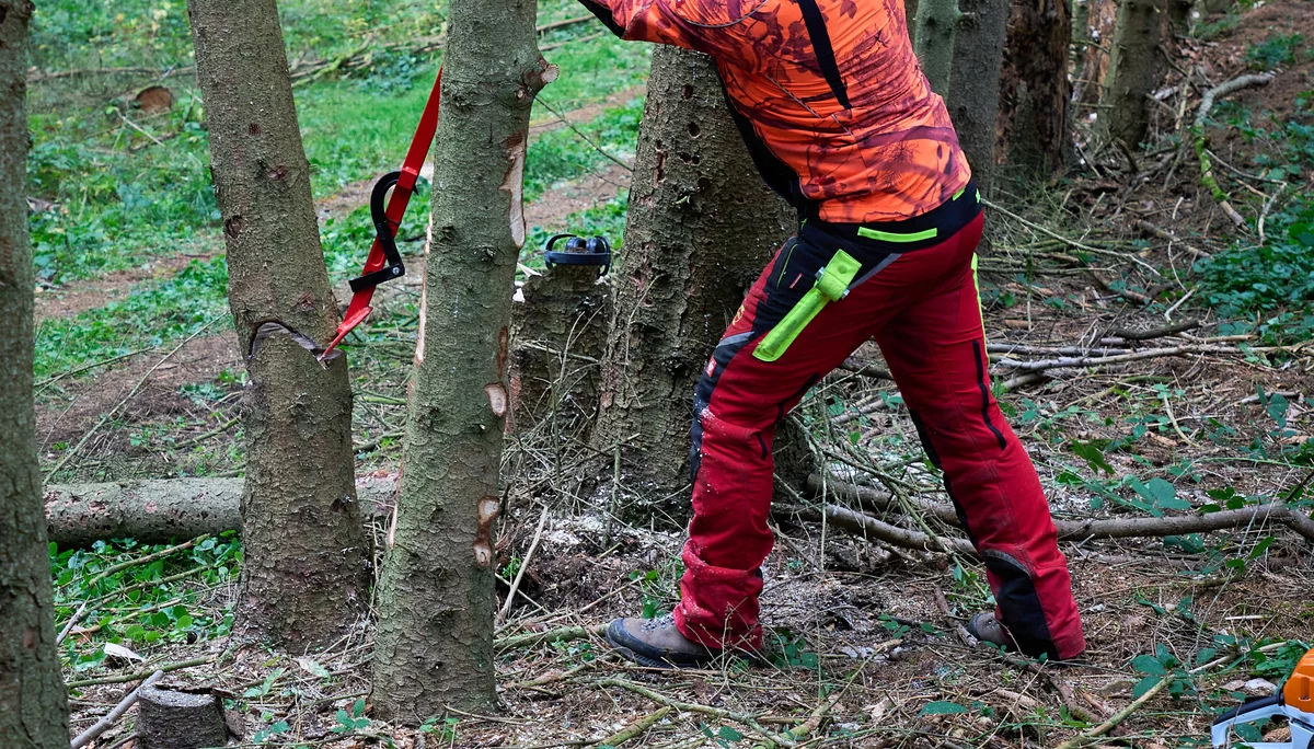 © János Palik | www.basaltblick.de