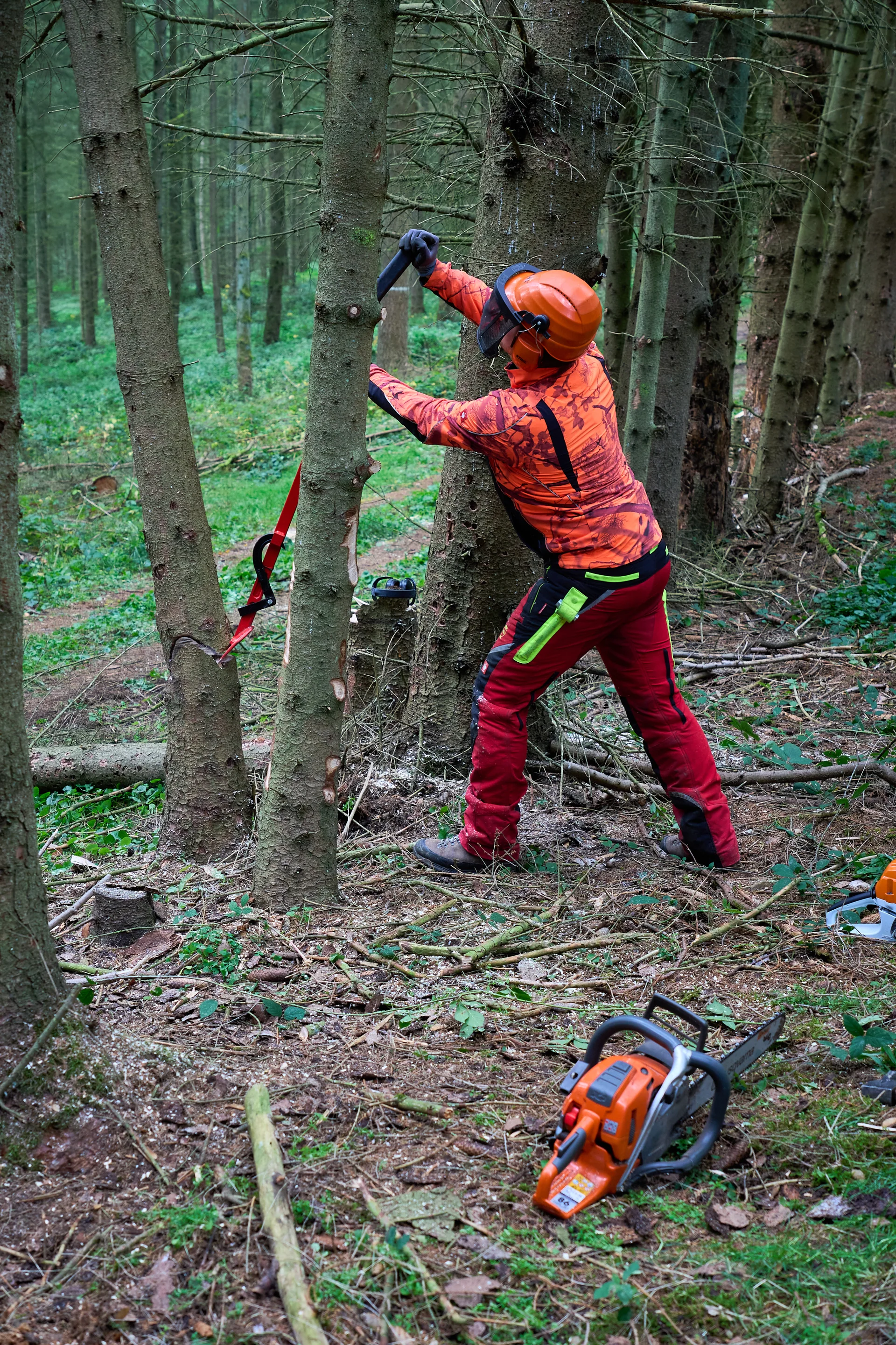 © János Palik | www.basaltblick.de