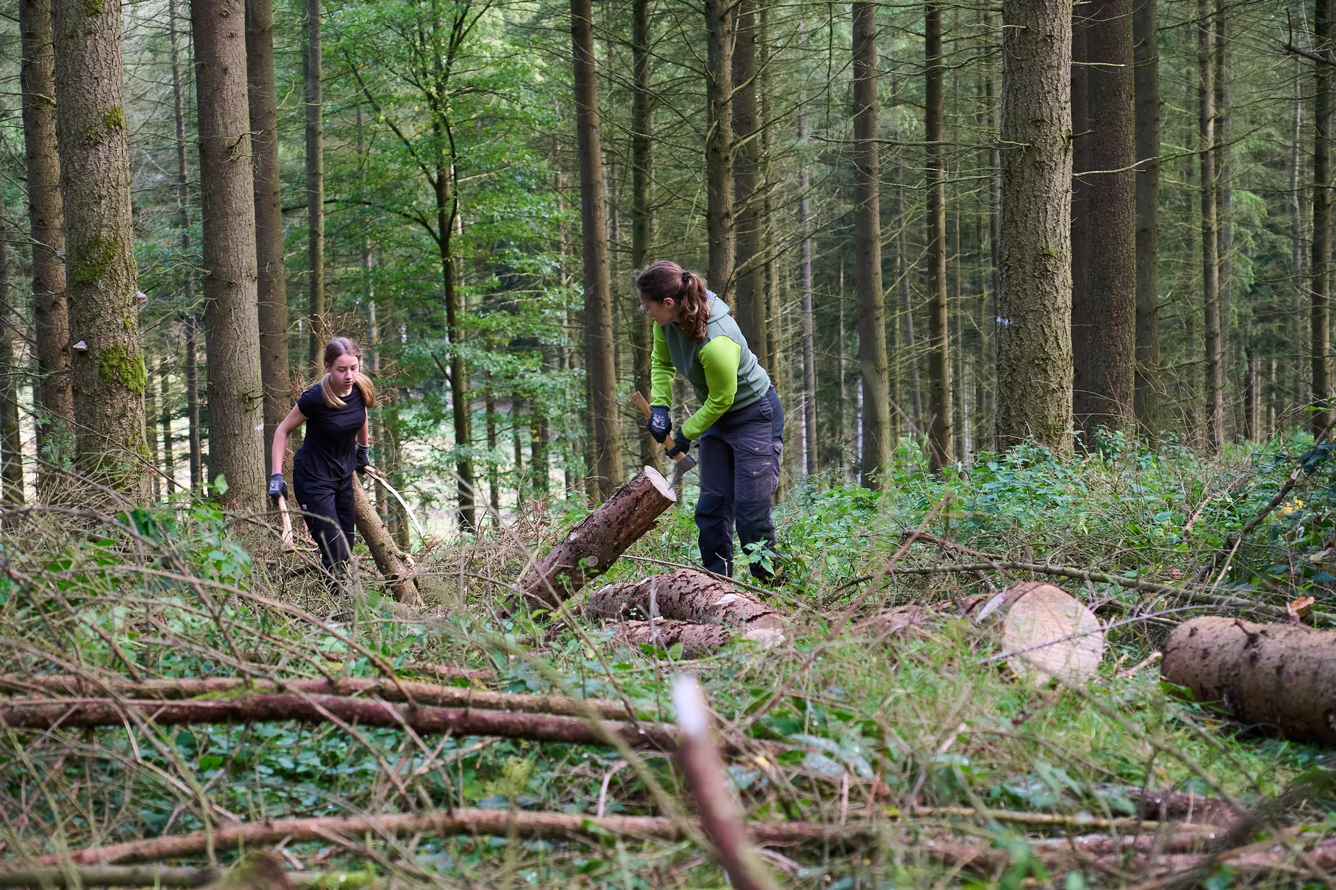 © János Palik | www.basaltblick.de