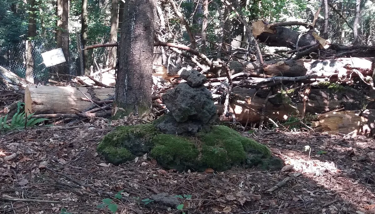 Der Gipfel des Schartebergs (691 m) | © DAV Koblenz