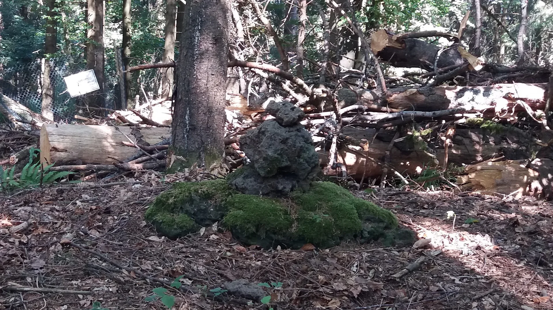 Der Gipfel des Schartebergs (691 m) | © DAV Koblenz