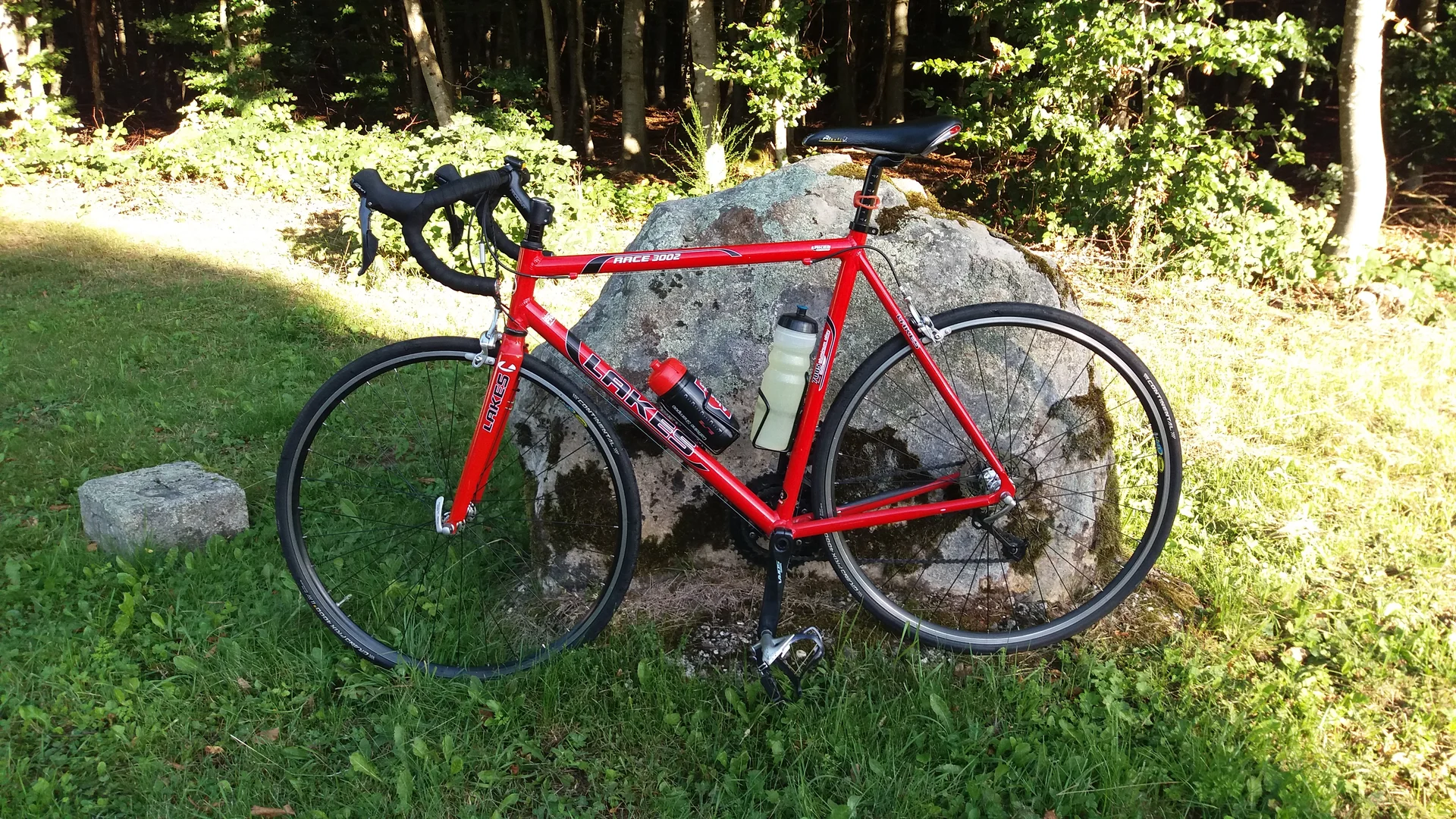 Der Weiße Stein (690 m) bei Udenbreth im Zitterwald | © DAV Koblenz