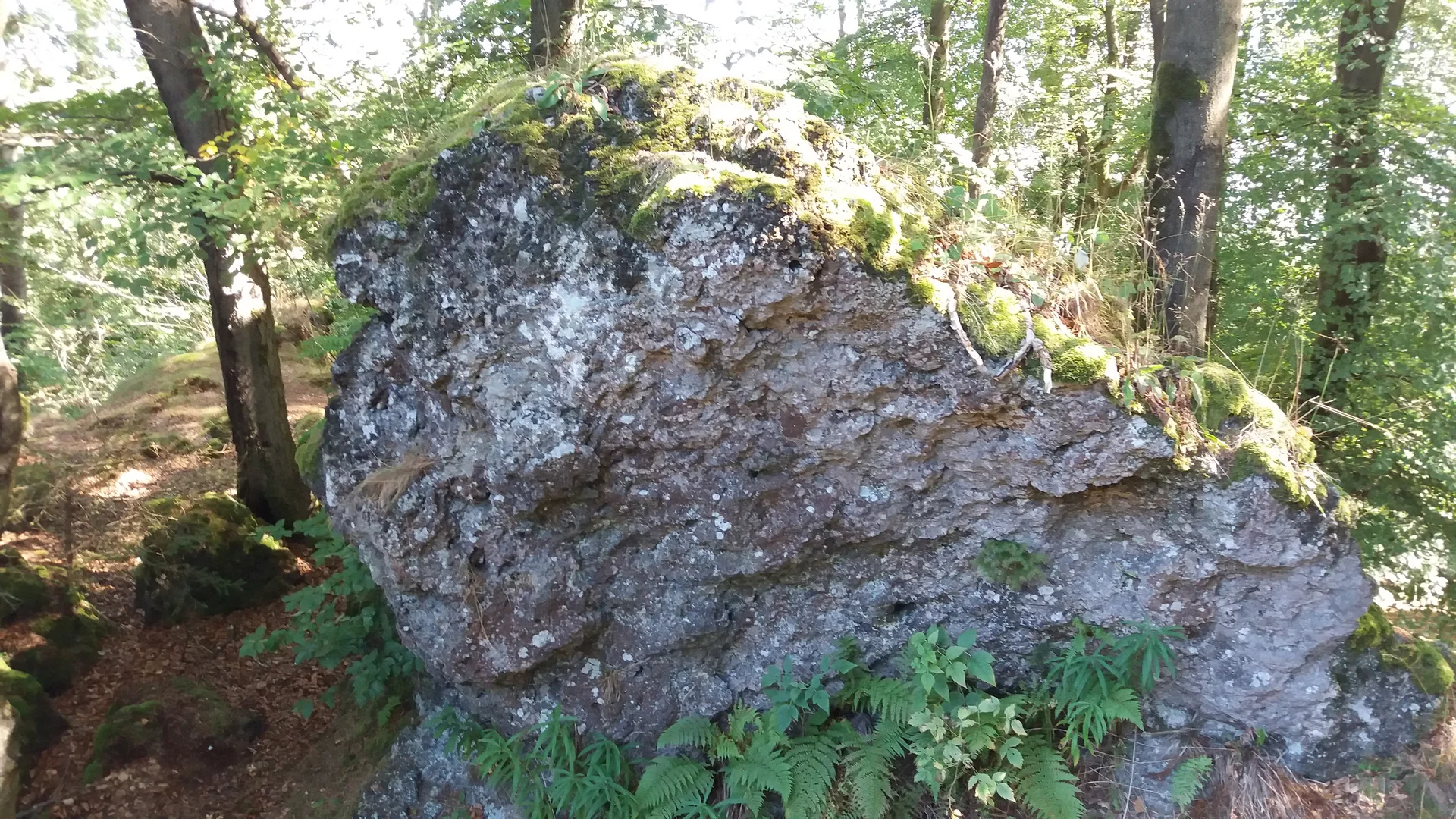 Der Gipfelfelsen vom Ernstberg (699 m) | © DAV Koblenz