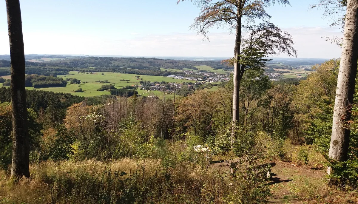 Blick vom Gipfel des Hochkelbergs (675 m) nach Westen | © DAV Koblenz