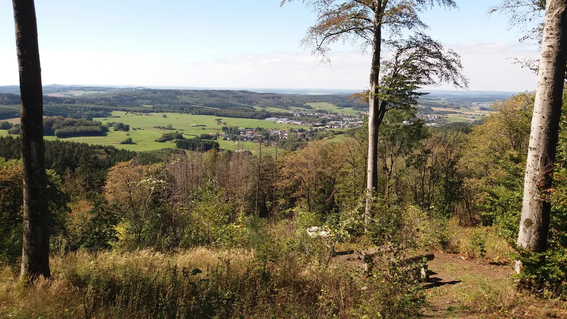 Blick vom Gipfel des Hochkelbergs (675 m) nach Westen | © DAV Koblenz