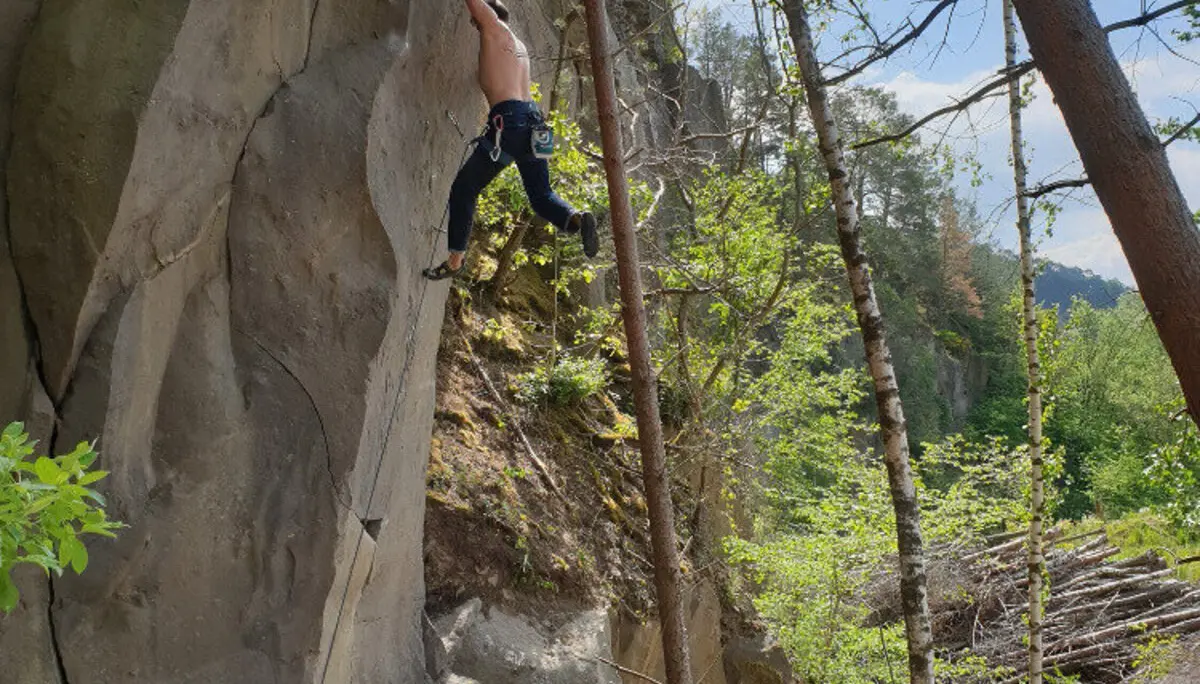 Dachsbau | © Rainer Maximini