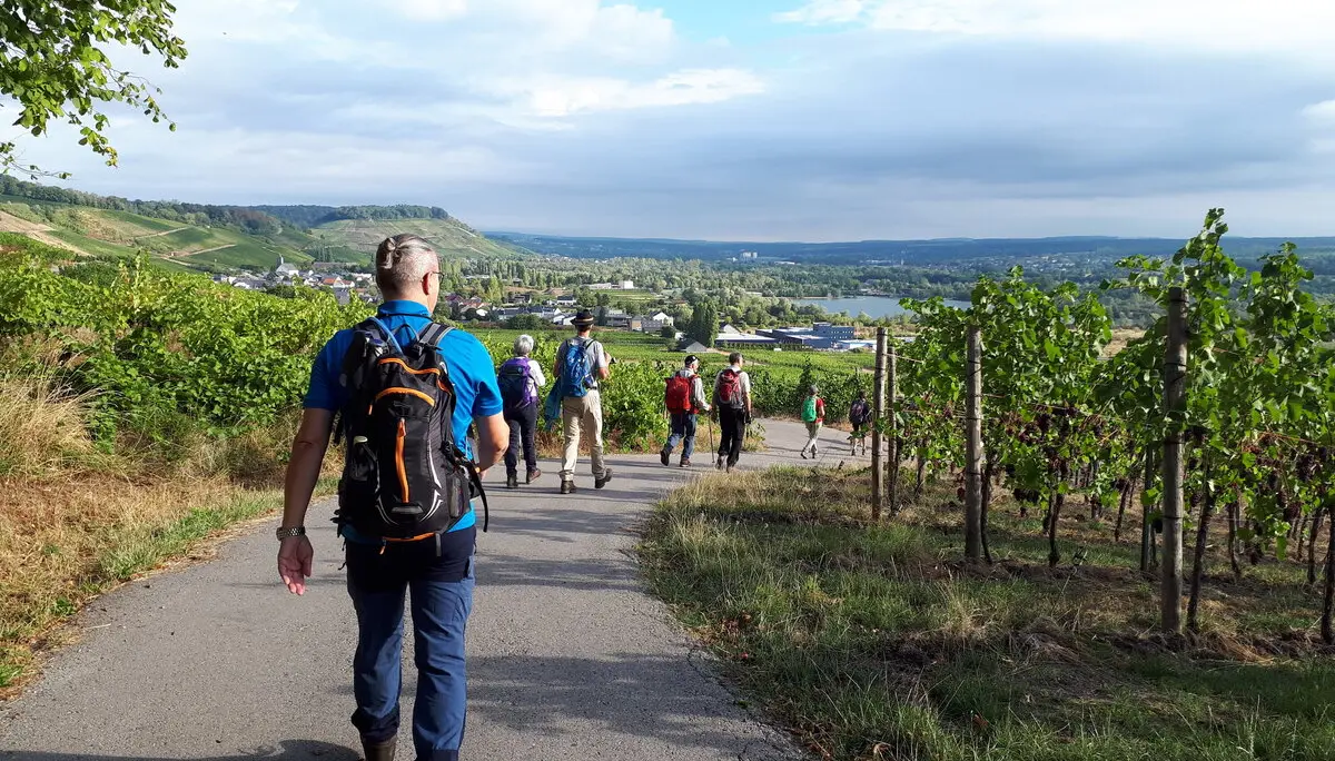 Luxemburgische Weingegend | © DAV Koblenz