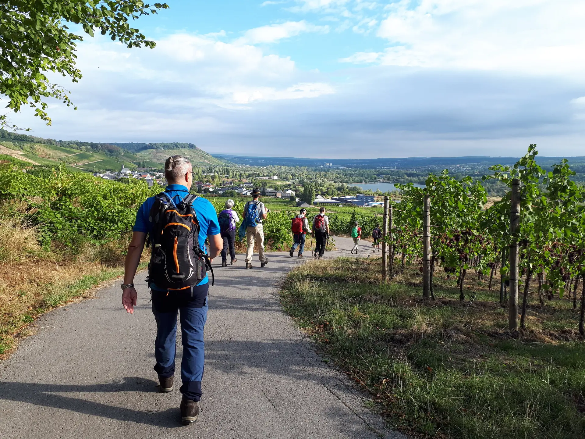 Luxemburgische Weingegend | © DAV Koblenz