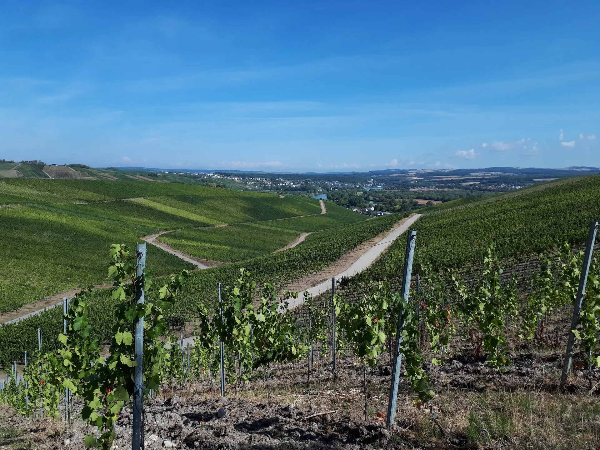 Wein, Wein, Wein | © DAV Koblenz