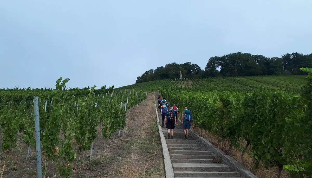 Luxemburgische Weinberge | © DAV Koblenz