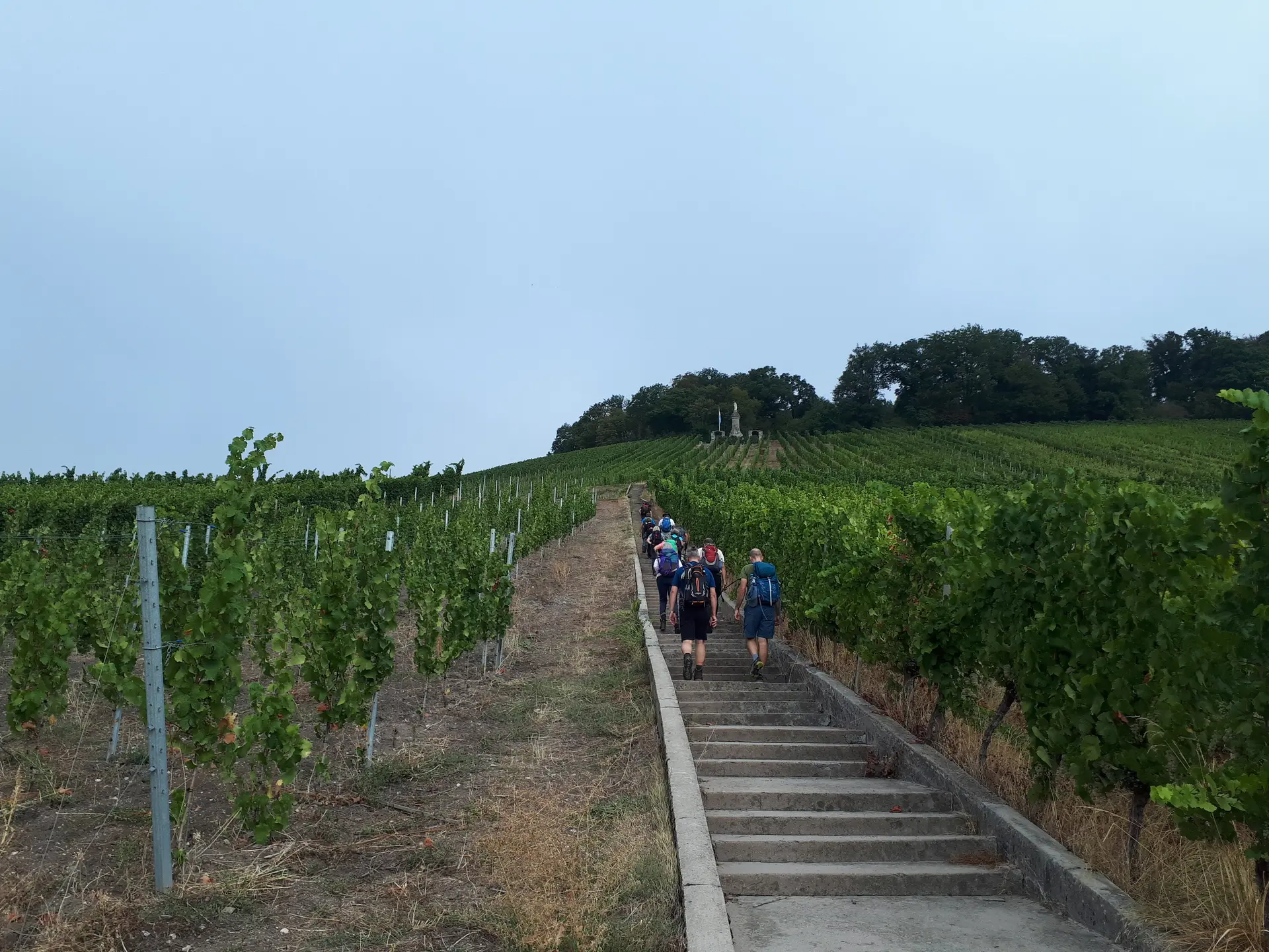 Luxemburgische Weinberge | © DAV Koblenz