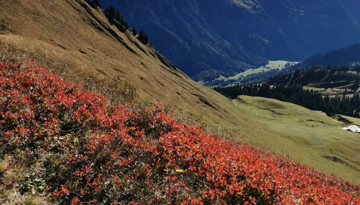 18 Allgäuer Alpen | © DAV Koblenz