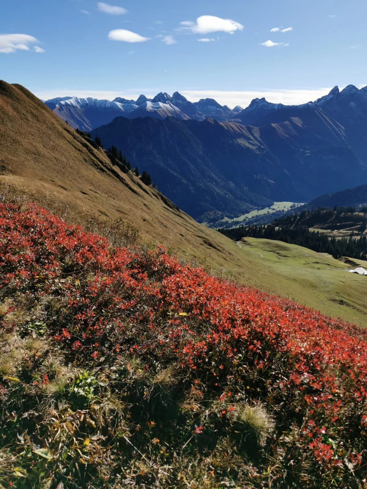 18 Allgäuer Alpen | © DAV Koblenz