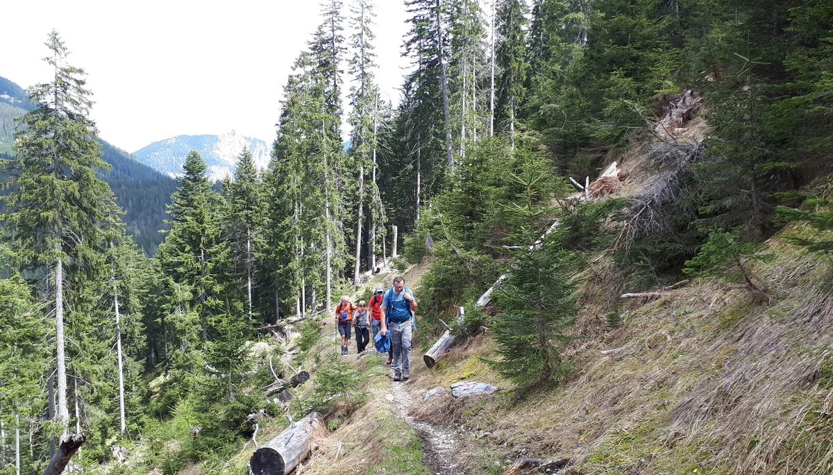 Rehbersteig | © DAV Koblenz