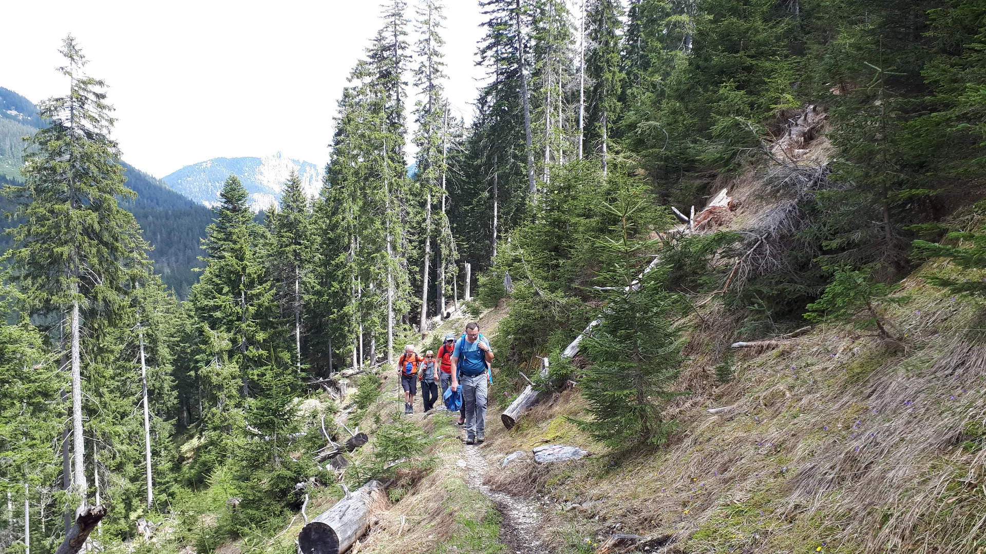 Rehbersteig | © DAV Koblenz