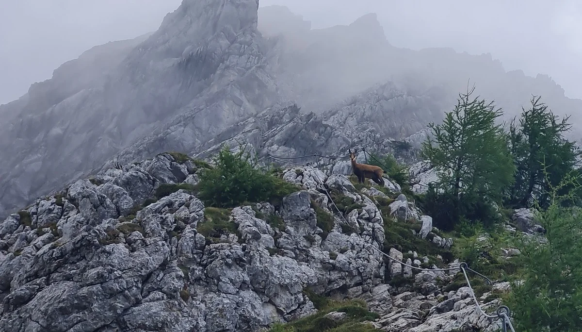 40 Oberstdorf | © DAV Koblenz