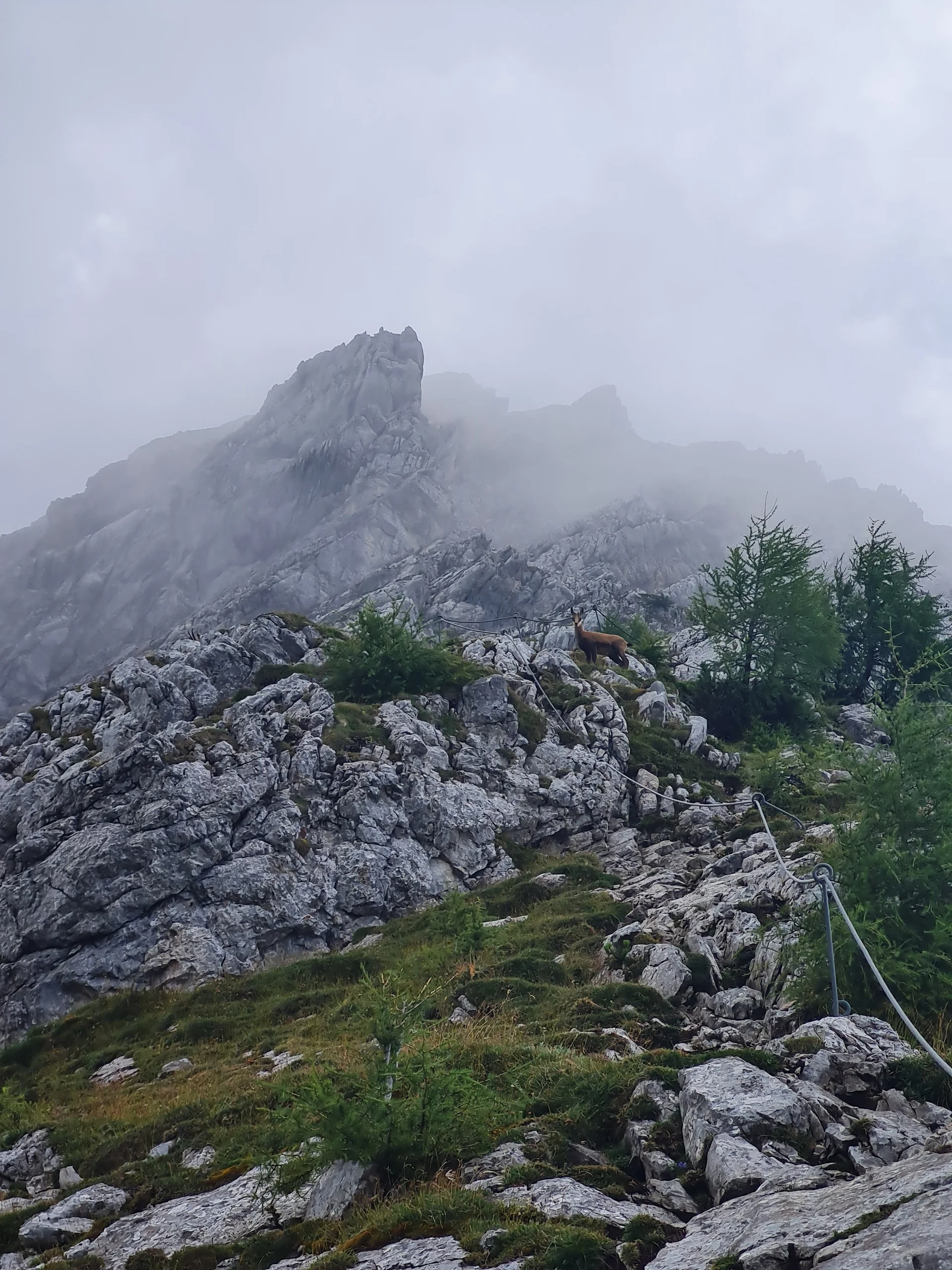 40 Oberstdorf | © DAV Koblenz