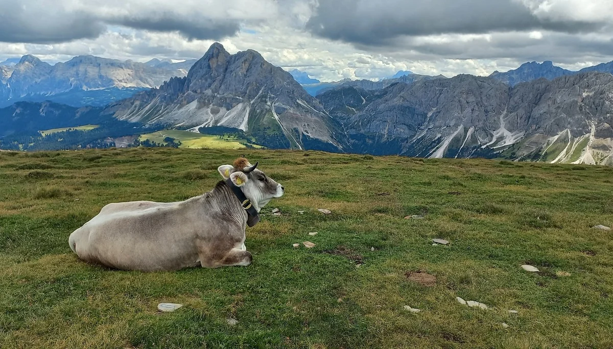 25 Gabler, Südtirol | © DAV Koblenz