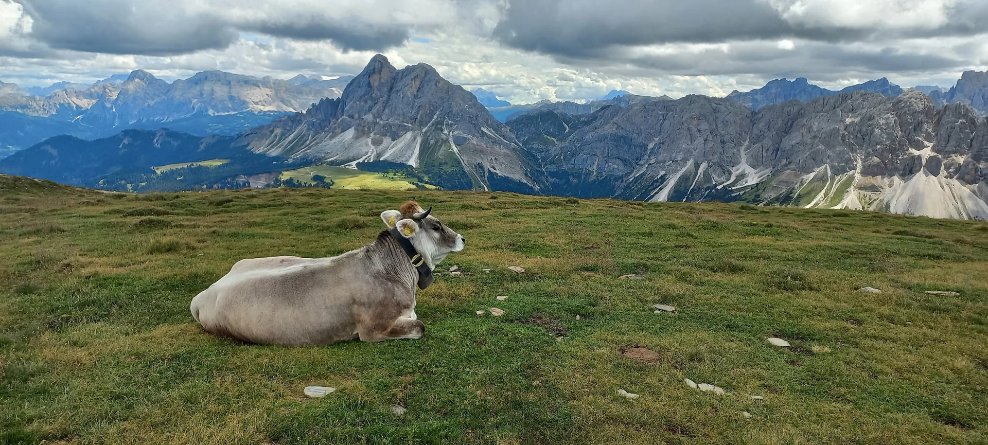 25 Gabler, Südtirol | © DAV Koblenz