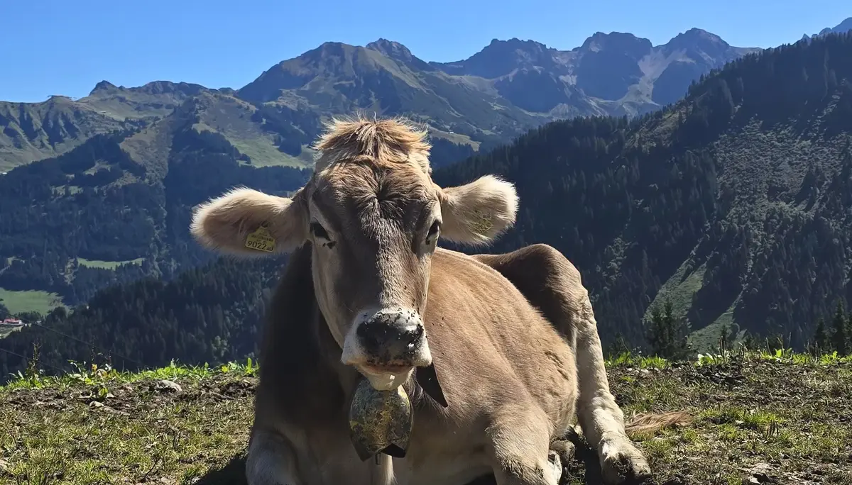 10 - Hoher Ifen, Hirschegg, Österreich | © DAV Koblenz