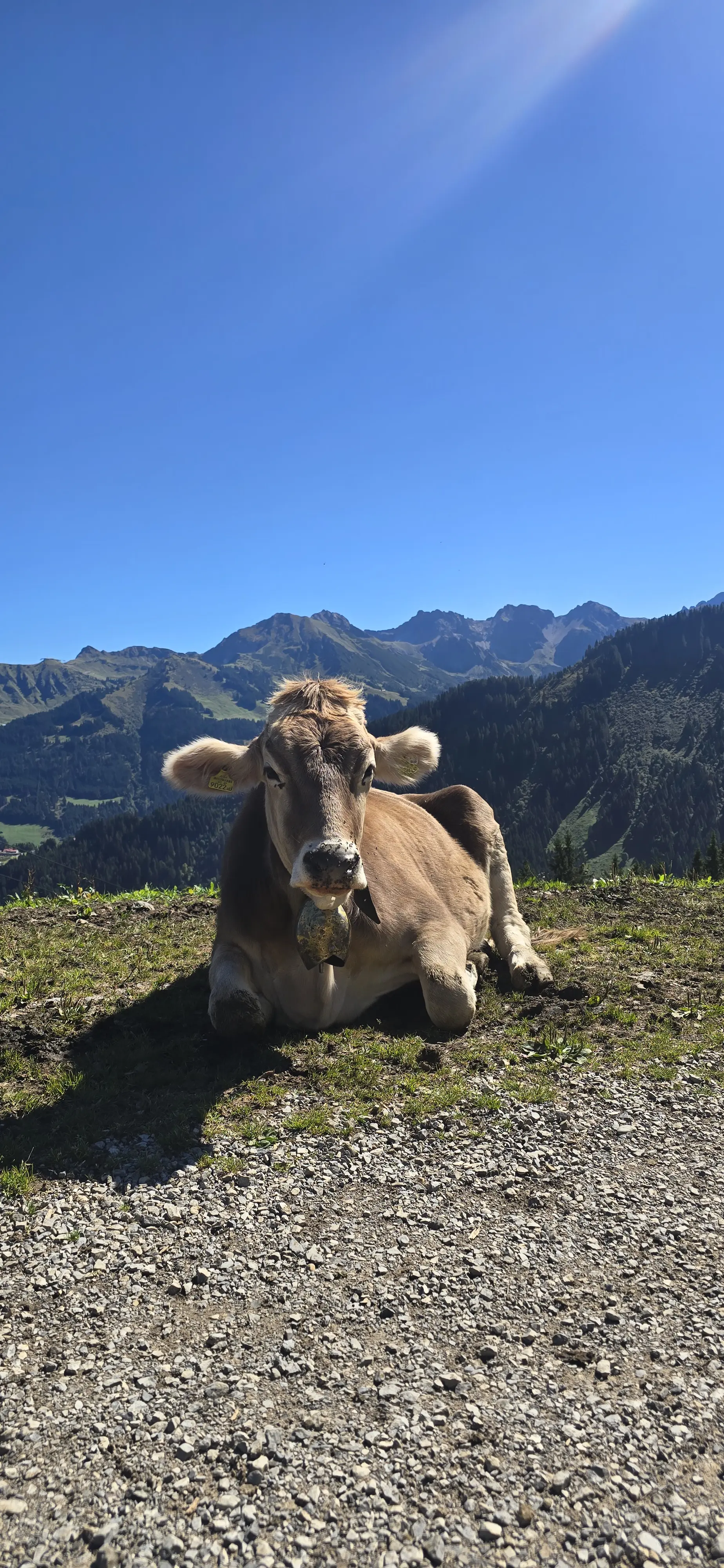10 - Hoher Ifen, Hirschegg, Österreich | © DAV Koblenz