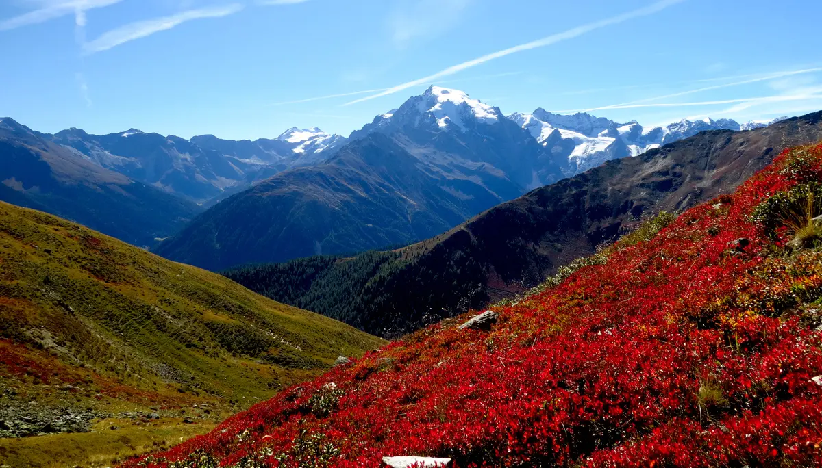 9 - Abstieg vom Chavalatsch im Vinschgau | © DAV Koblenz