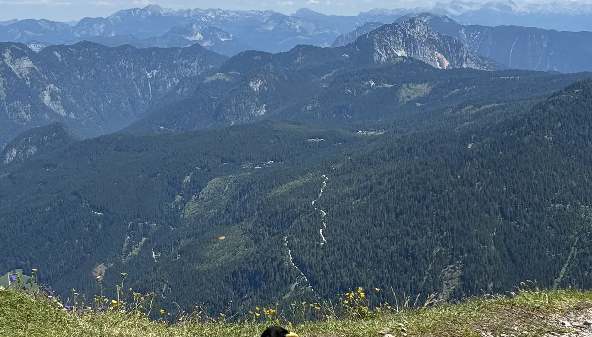8 - Donnerkogel, Dachstein | © DAV Koblenz