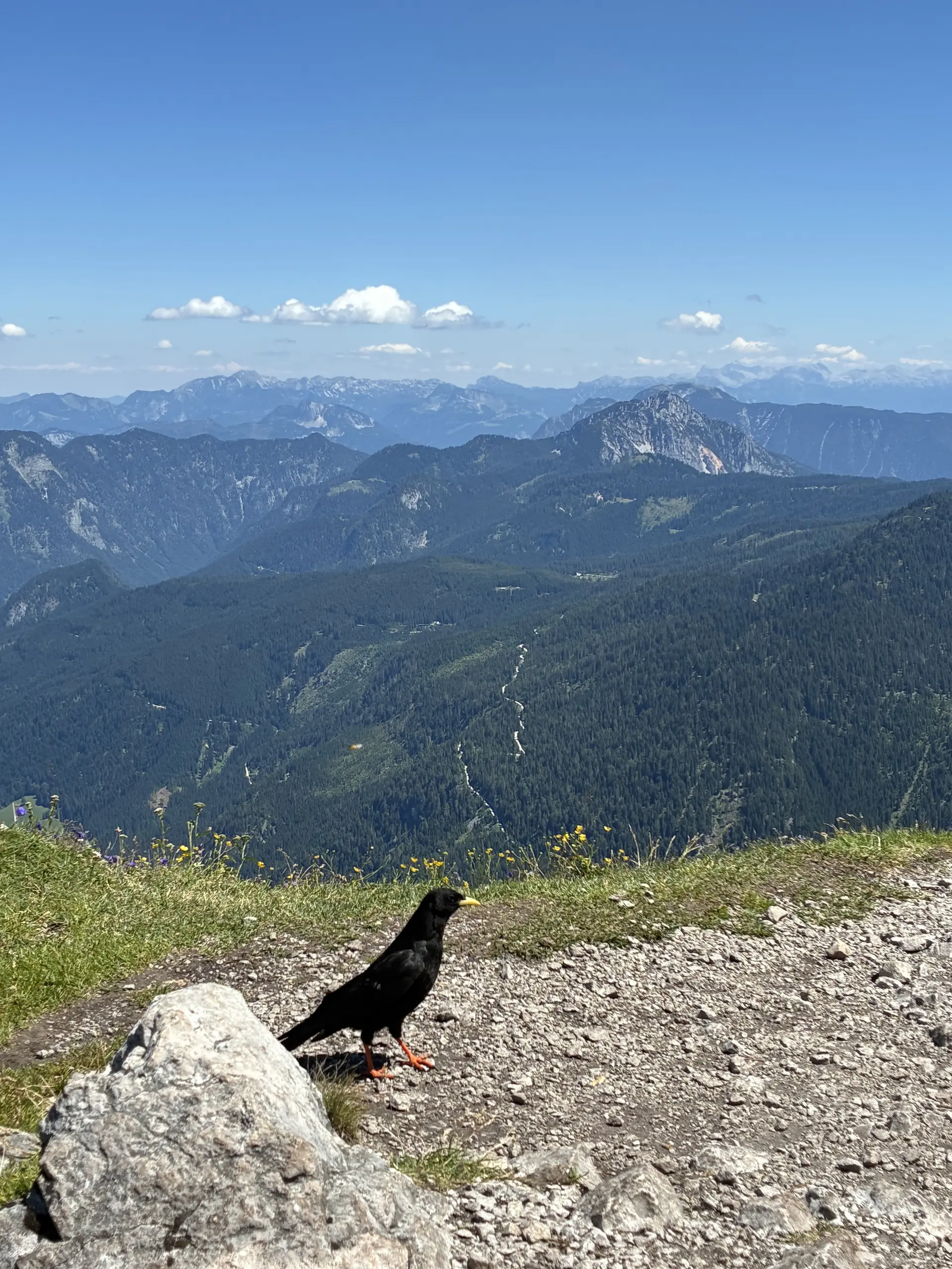 8 - Donnerkogel, Dachstein | © DAV Koblenz