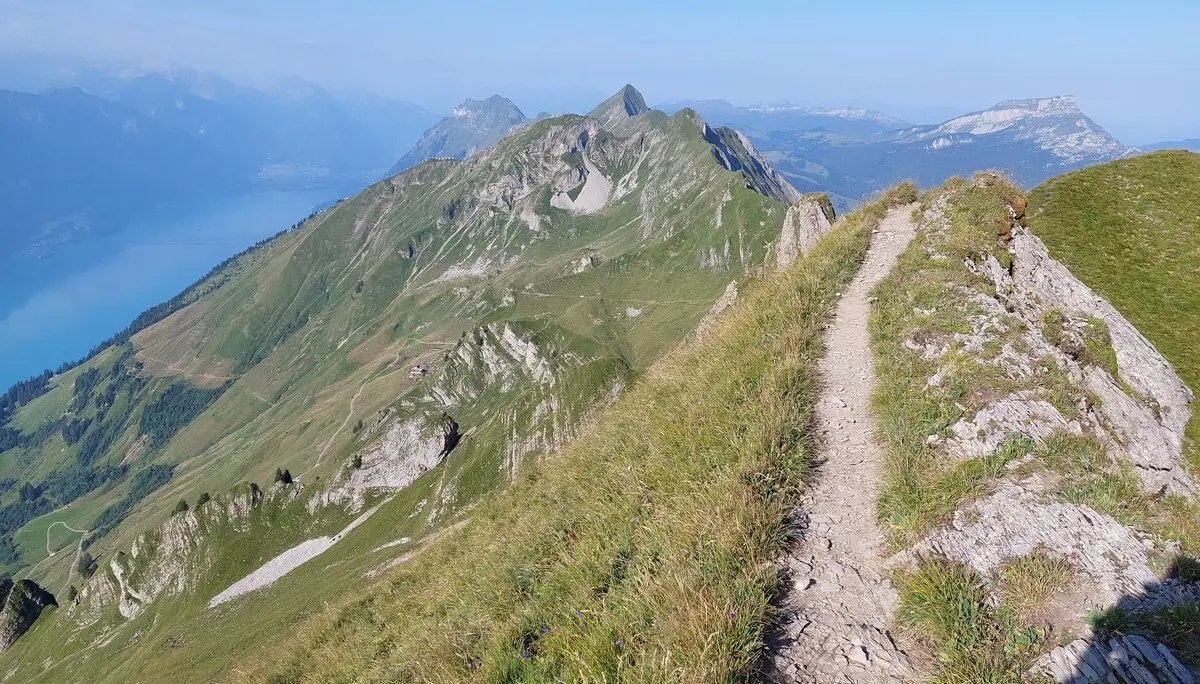 Blick über den Brienzergrat nach Westen | © Peter May