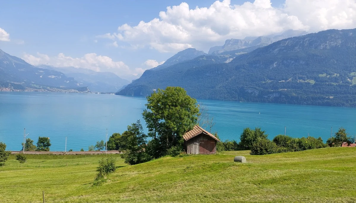 Der Brienzersee bei Oberried | © Peter May