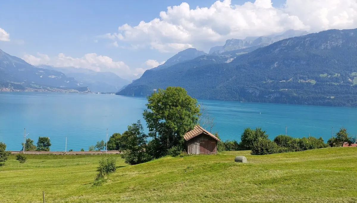 Der Brienzersee bei Oberried | © Peter May