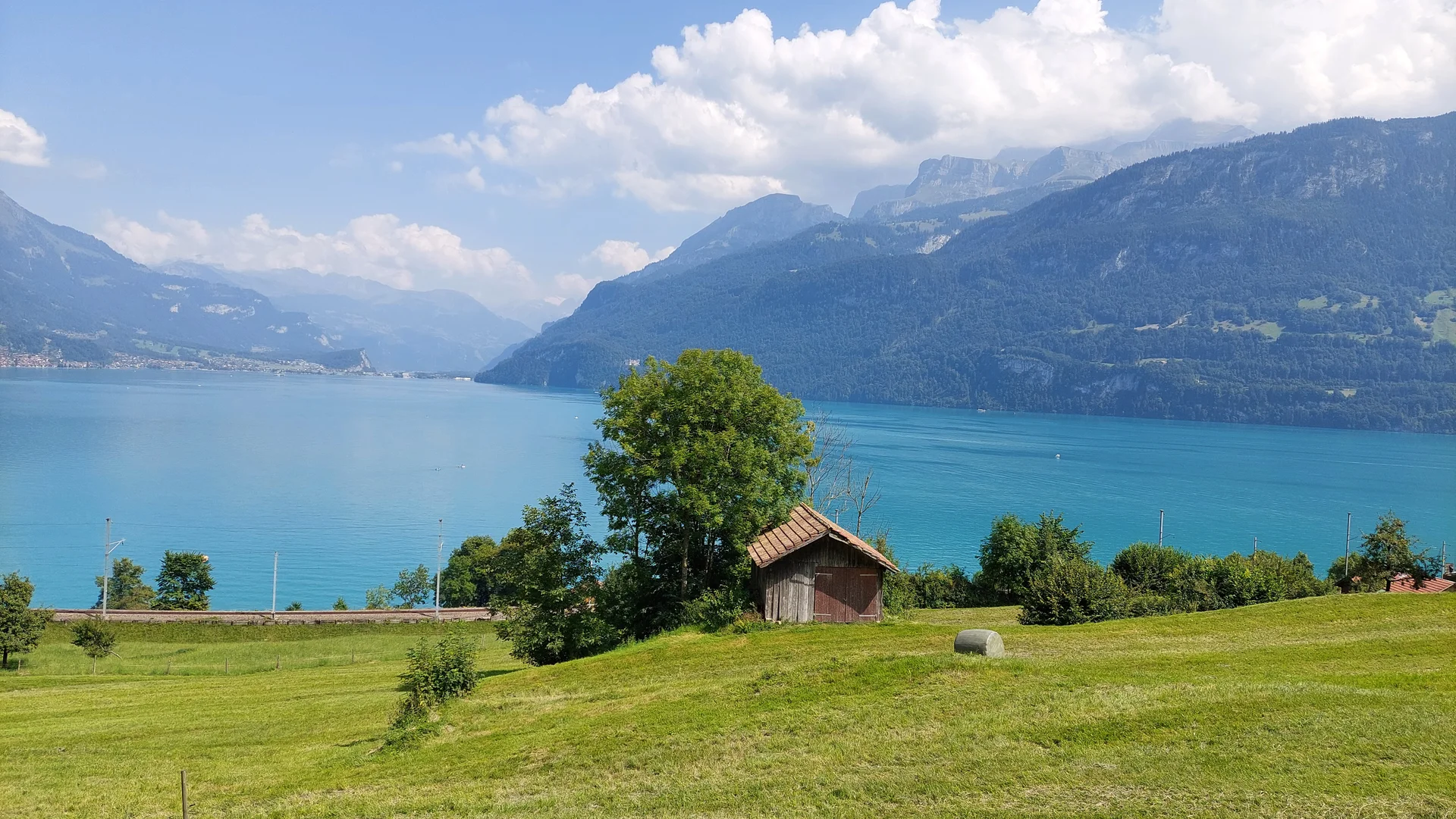 Der Brienzersee bei Oberried | © Peter May