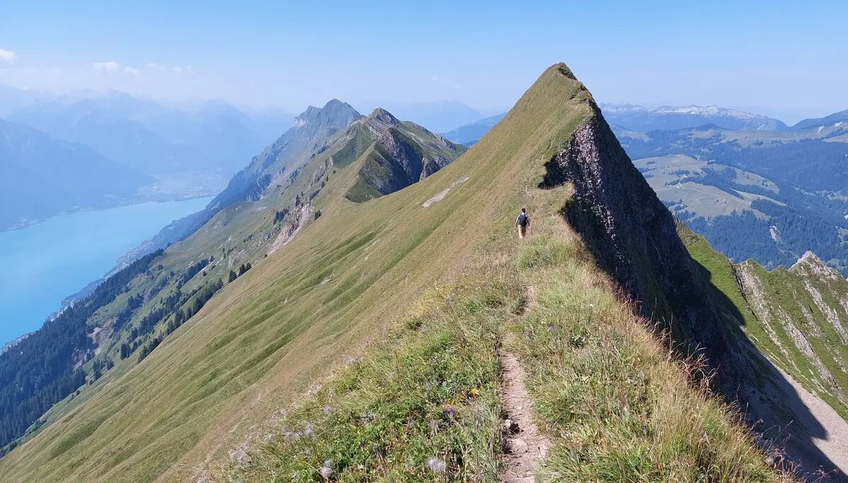 Blick auf das formschöne Allgäuhorn | © Peter May