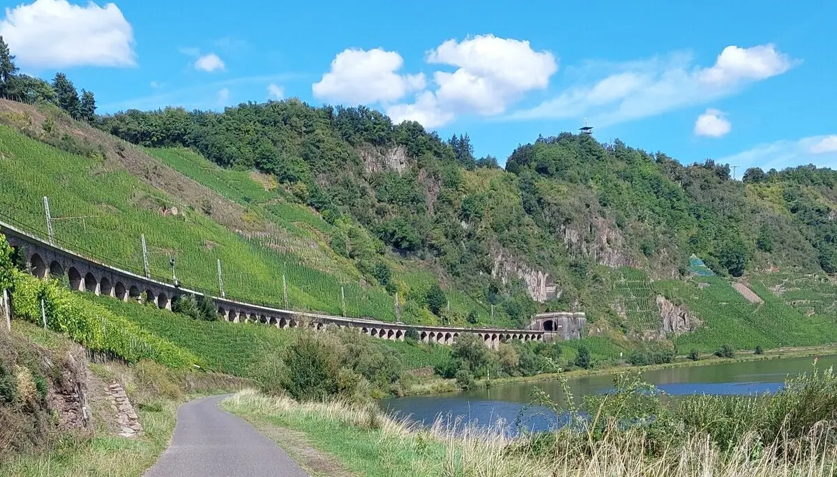 Eisenbahn-Hangviadukt bei Pünderich | © Peter May