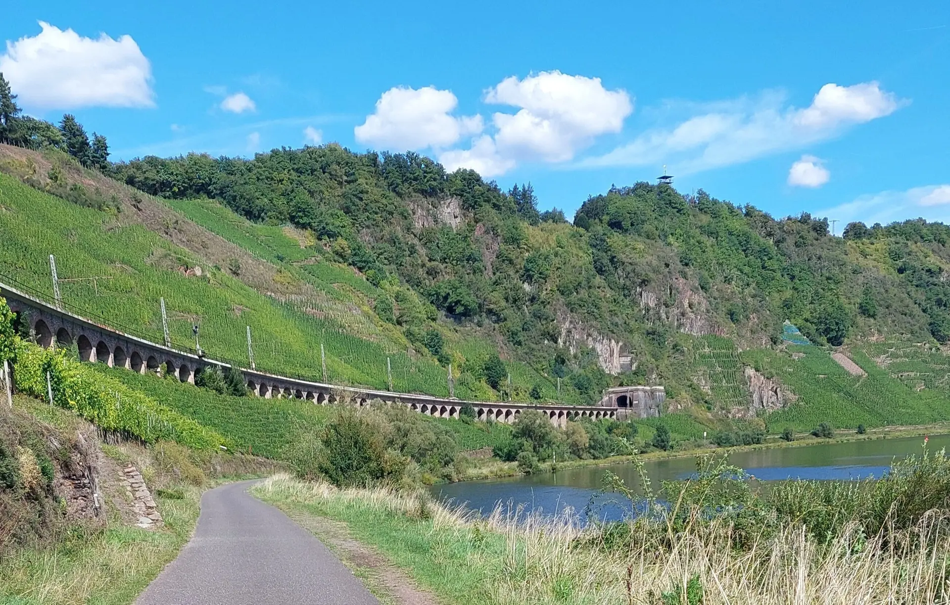 Eisenbahn-Hangviadukt bei Pünderich | © Peter May