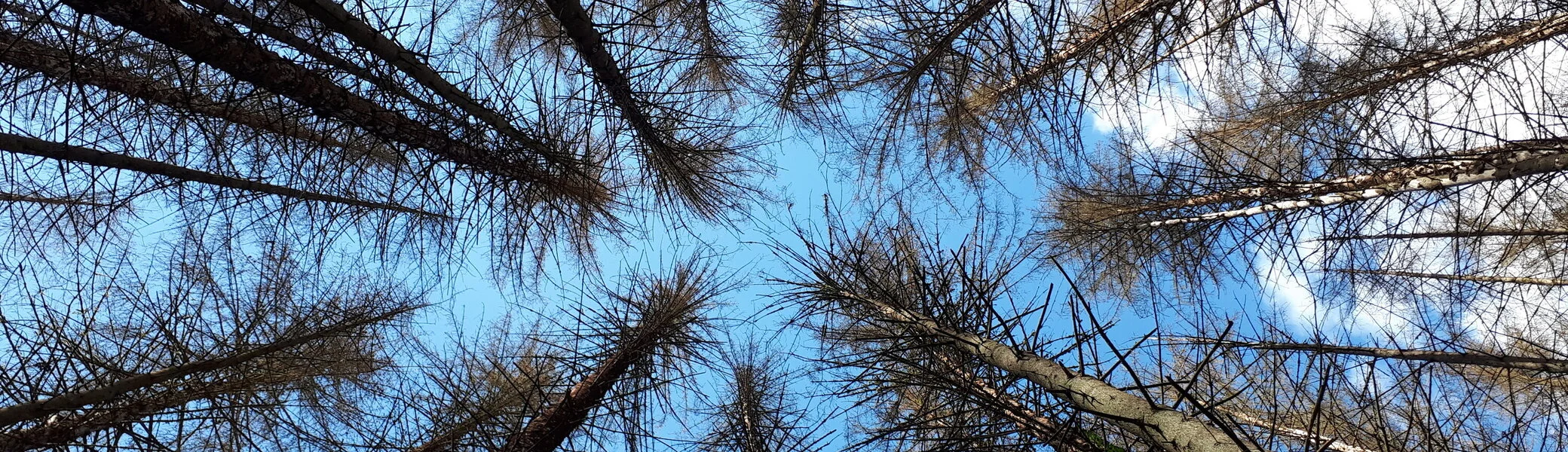 © DAV Koblenz | mrb