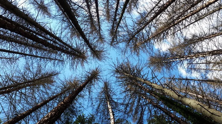 © DAV Koblenz | mrb