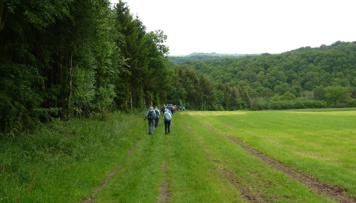 Wanderung am Waldrand | © DAV Koblenz