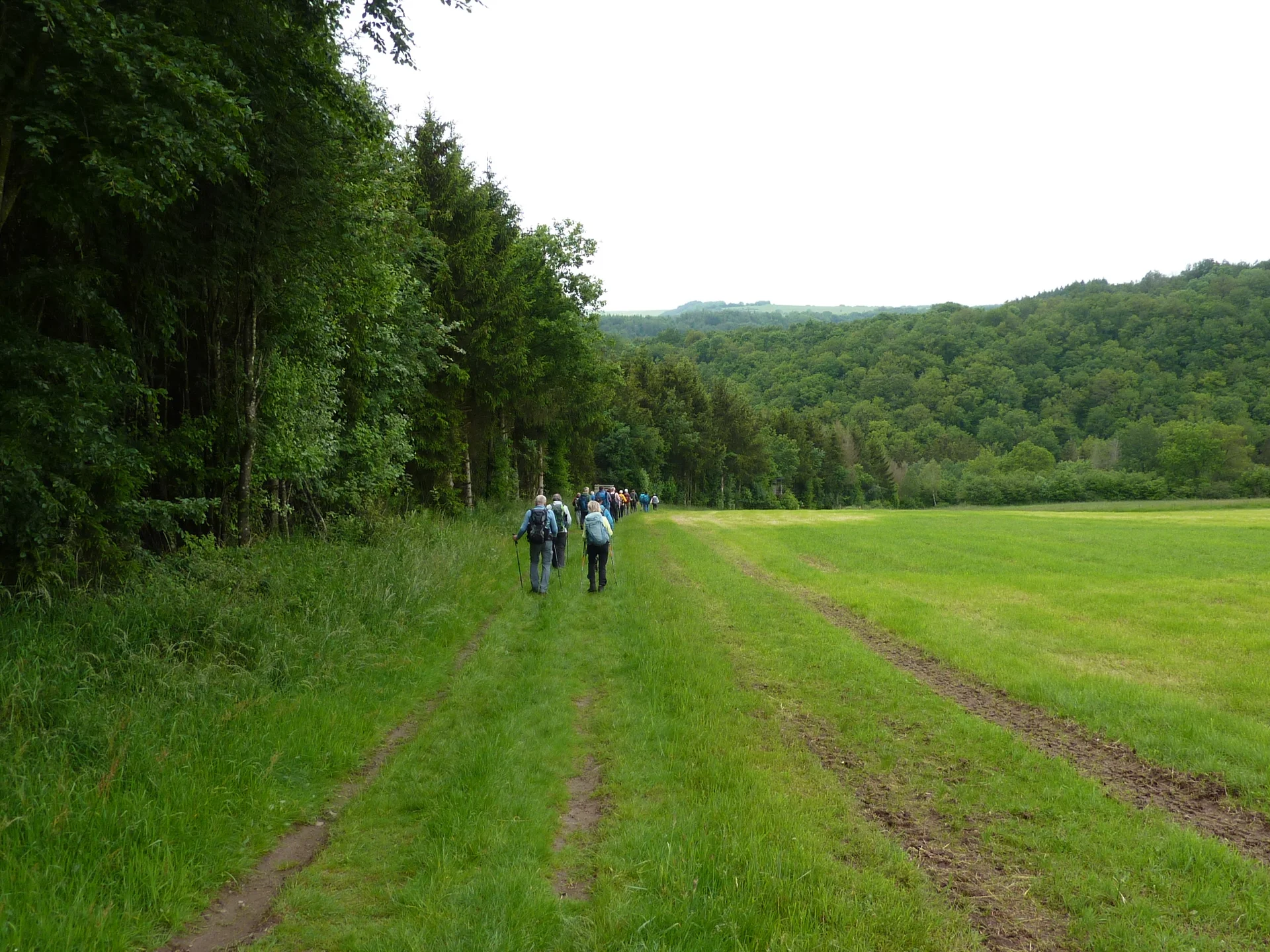Wanderung am Waldrand | © DAV Koblenz