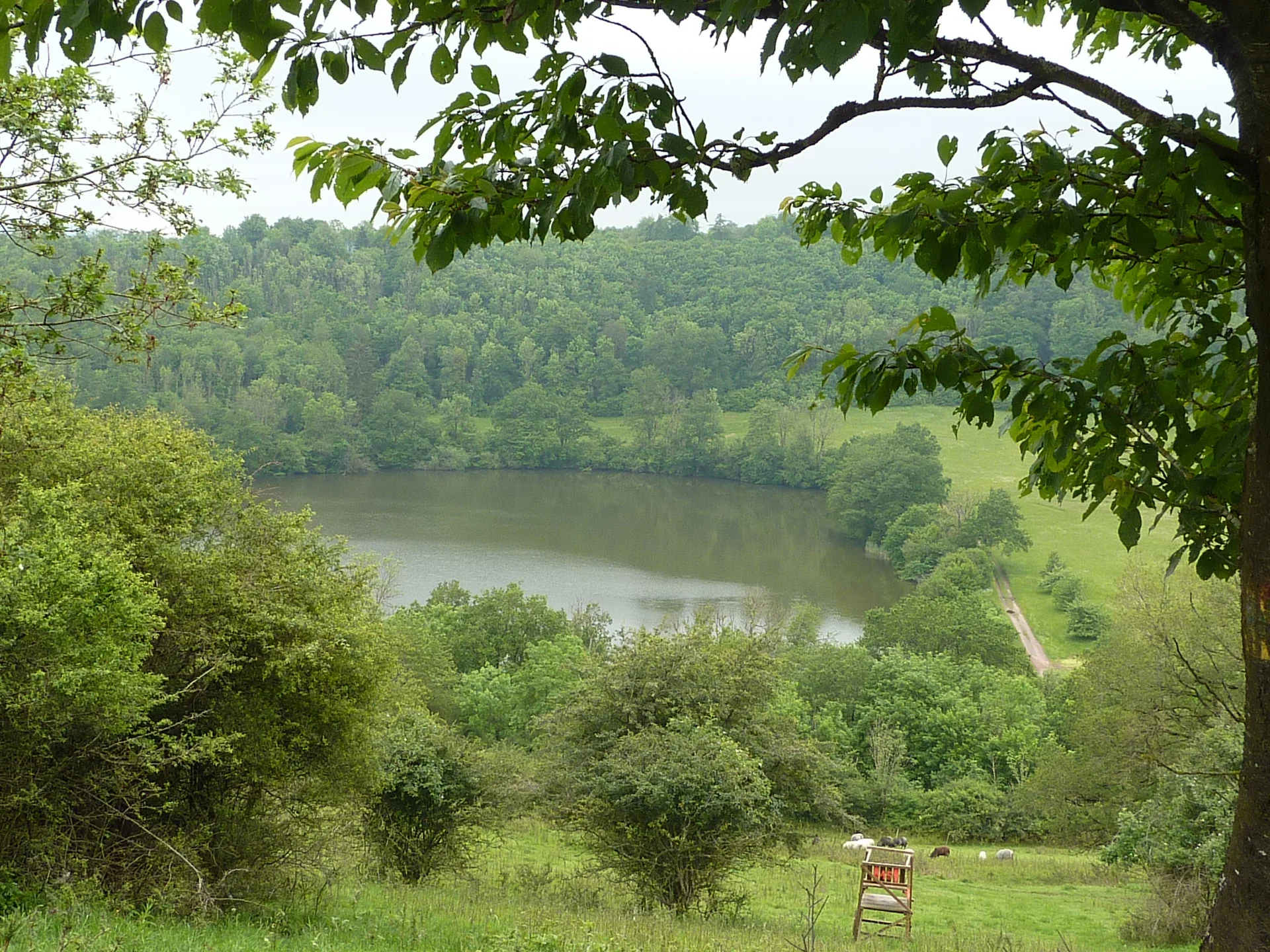 Blick aufs Immerather Maar | © DAV Koblenz